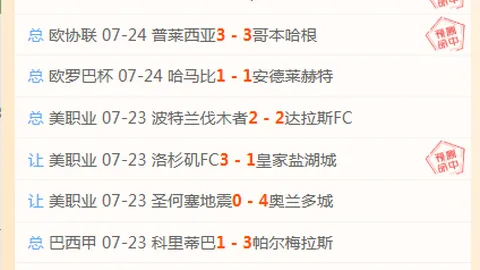 2026年度爆款解析压轴铁锤技巧大